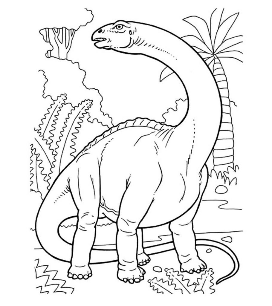 indone dinossauro para imprimir e pintar - Pesquisa Google  สมุดระบายสี,  ศิลปะเด็ก, ไดโนเสาร์