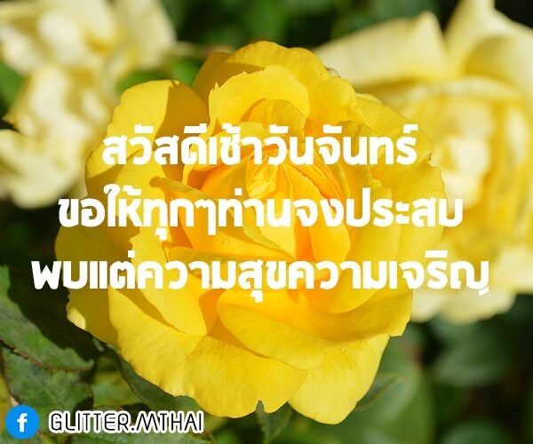 สวัสดีวันจันทร์ ดอกไม้ (1)