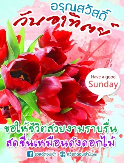 สวัสดีวันอาทิตย์ ดอกไม้ (8)