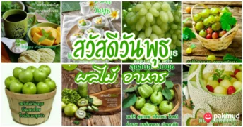 สวัสดีวันพุธ ผลไม้