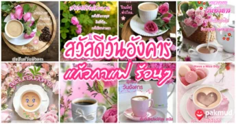 สวัสดีวันอังคาร กาแฟ