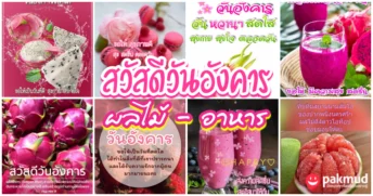 สวัสดีวันอังคาร ผลไม้