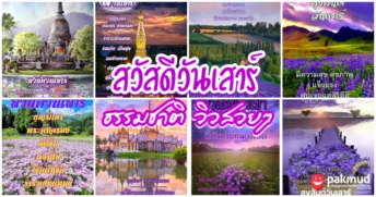 สวัสดีวันเสาร์ ธรรมชาติ วิว