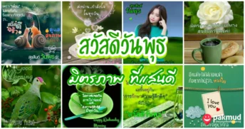 สวัสดีวันพุธ มิตรภาพ