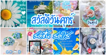 สวัสดีวันศุกร์ สดใส