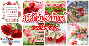 สวัสดีวันอาทิตย์ ดอกไม้