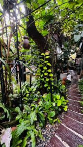 เดอเบียร์คาเฟ่ สุพรรณบุรี