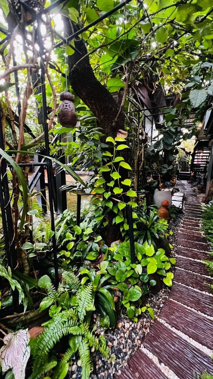 เดอเบียร์คาเฟ่ สุพรรณบุรี