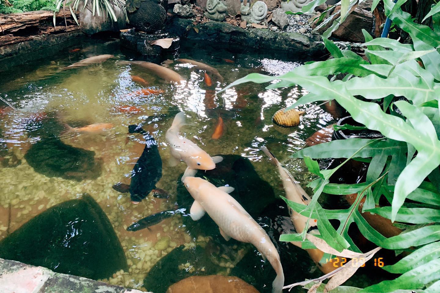 เดอเบียร์คาเฟ่ สุพรรณบุรี