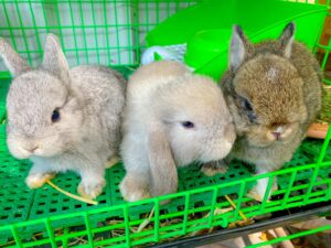 ร้าน เสบียงนา สุพรรณบุรี