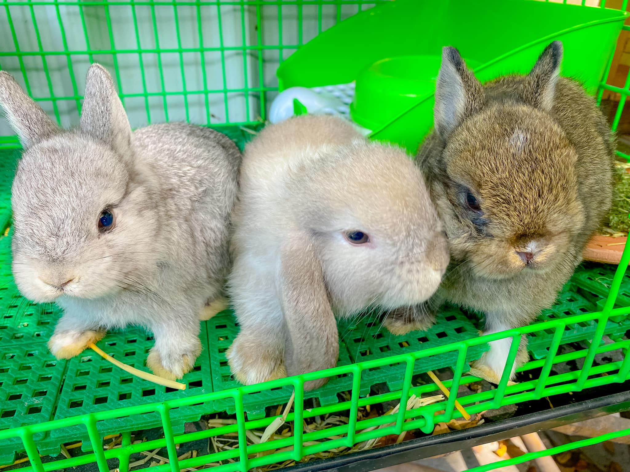 ร้าน เสบียงนา สุพรรณบุรี