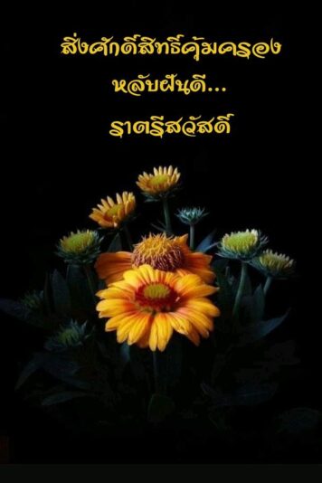 ราตรีสวัสดิ์วันจันทร์ รูปสวยๆ ส่งความคิดถึง ห่วงใย ฝันดี ก่อนนอน