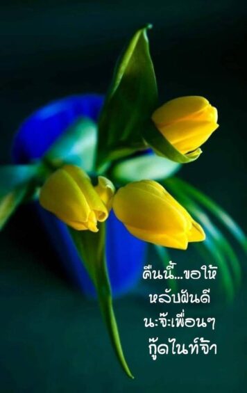 ราตรีสวัสดิ์วันจันทร์ รูปสวยๆ ส่งความคิดถึง ห่วงใย ฝันดี ก่อนนอน