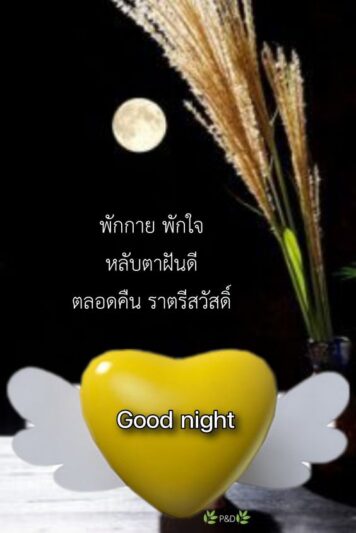 ราตรีสวัสดิ์วันจันทร์ รูปสวยๆ ส่งความคิดถึง ห่วงใย ฝันดี ก่อนนอน