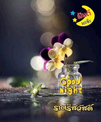 ราตรีสวัสดิ์วันจันทร์ รูปสวยๆ ส่งความคิดถึง ห่วงใย ฝันดี ก่อนนอน