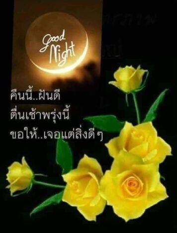 ราตรีสวัสดิ์วันจันทร์ รูปสวยๆ ส่งความคิดถึง ห่วงใย ฝันดี ก่อนนอน
