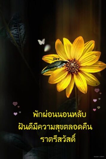 ราตรีสวัสดิ์วันจันทร์ รูปสวยๆ ส่งความคิดถึง ห่วงใย ฝันดี ก่อนนอน