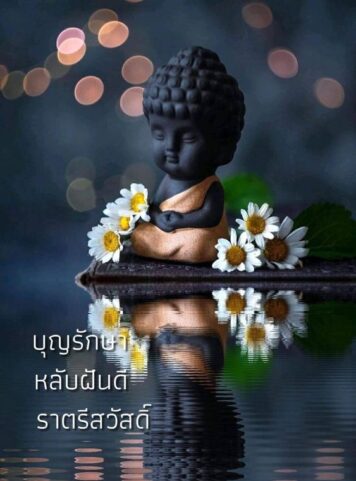ราตรีสวัสดิ์วันจันทร์ รูปสวยๆ ส่งความคิดถึง ห่วงใย ฝันดี ก่อนนอน