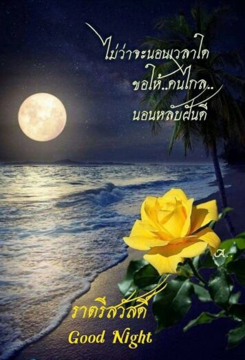 ราตรีสวัสดิ์วันจันทร์ รูปสวยๆ ส่งความคิดถึง ห่วงใย ฝันดี ก่อนนอน