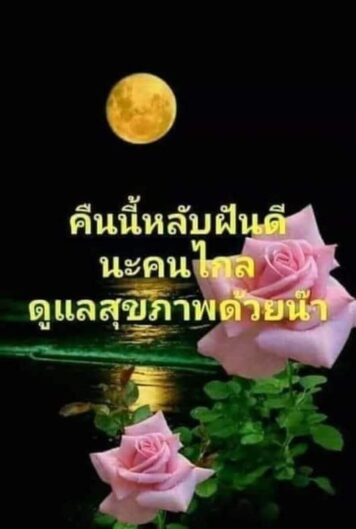 ราตรีสวัสดิ์วันจันทร์ รูปสวยๆ ส่งความคิดถึง ห่วงใย ฝันดี ก่อนนอน