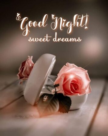 ราตรีสวัสดิ์วันพฤหัสบดี รูปสวยๆ โหลดฟรี ส่งความคิดถึง ฝันดี ก่อนนอน