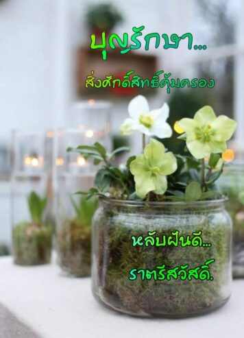 ราตรีสวัสดิ์วันพุธ (15) ราตรีสวัสดิ์วันพุธ รูปสวยๆ โหลดฟรี ส่งความคิดถึง บอกฝันดี ก่อนนอน