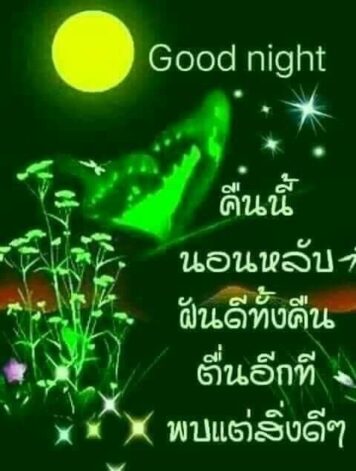 ราตรีสวัสดิ์วันพุธ (23) ราตรีสวัสดิ์วันพุธ รูปสวยๆ โหลดฟรี ส่งความคิดถึง บอกฝันดี ก่อนนอน
