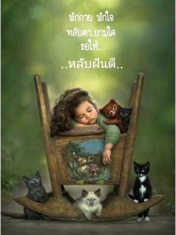 ราตรีสวัสดิ์วันพุธ (24) ราตรีสวัสดิ์วันพุธ รูปสวยๆ โหลดฟรี ส่งความคิดถึง บอกฝันดี ก่อนนอน