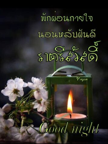 ราตรีสวัสดิ์วันพุธ (25) ราตรีสวัสดิ์วันพุธ รูปสวยๆ โหลดฟรี ส่งความคิดถึง บอกฝันดี ก่อนนอน