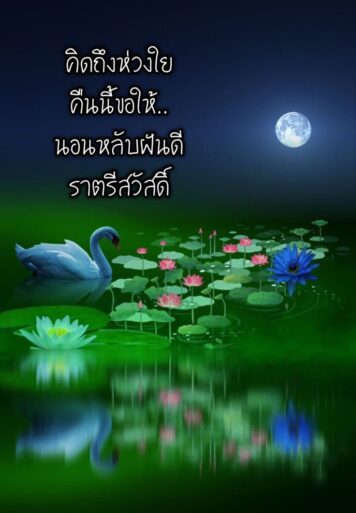 ราตรีสวัสดิ์วันพุธ (3) ราตรีสวัสดิ์วันพุธ รูปสวยๆ โหลดฟรี ส่งความคิดถึง บอกฝันดี ก่อนนอน