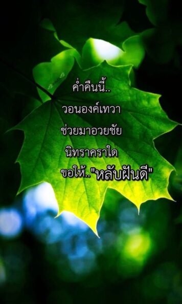 ราตรีสวัสดิ์วันพุธ (32) ราตรีสวัสดิ์วันพุธ รูปสวยๆ โหลดฟรี ส่งความคิดถึง บอกฝันดี ก่อนนอน