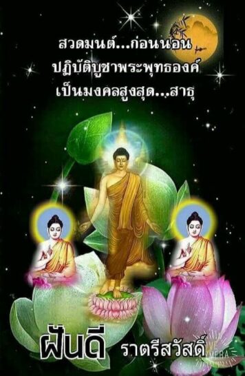 ราตรีสวัสดิ์วันพุธ (4) ราตรีสวัสดิ์วันพุธ รูปสวยๆ โหลดฟรี ส่งความคิดถึง บอกฝันดี ก่อนนอน