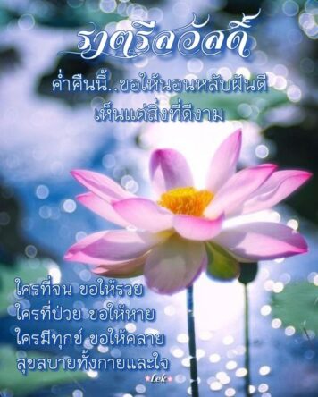 ราตรีสวัสดิ์วันพุธ (9) ราตรีสวัสดิ์วันพุธ รูปสวยๆ โหลดฟรี ส่งความคิดถึง บอกฝันดี ก่อนนอน