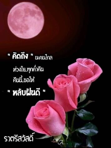 ราตรีสวัสดิ์วันอังคาร ราตรีสวัสดิ์วันอังคาร รูปสวยๆ โหลดฟรี ส่งความคิดถึง บอกฝันดี ก่อนนอน