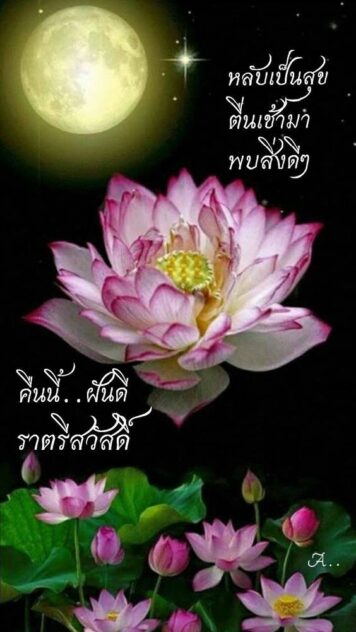 ราตรีสวัสดิ์วันอังคาร (10) ราตรีสวัสดิ์วันอังคาร รูปสวยๆ โหลดฟรี ส่งความคิดถึง บอกฝันดี ก่อนนอน