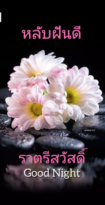 ราตรีสวัสดิ์วันอังคาร (11) ราตรีสวัสดิ์วันอังคาร รูปสวยๆ โหลดฟรี ส่งความคิดถึง บอกฝันดี ก่อนนอน