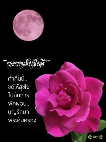 ราตรีสวัสดิ์วันอังคาร (14) ราตรีสวัสดิ์วันอังคาร รูปสวยๆ โหลดฟรี ส่งความคิดถึง บอกฝันดี ก่อนนอน