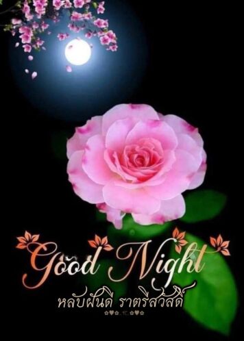 ราตรีสวัสดิ์วันอังคาร (17) ราตรีสวัสดิ์วันอังคาร รูปสวยๆ โหลดฟรี ส่งความคิดถึง บอกฝันดี ก่อนนอน