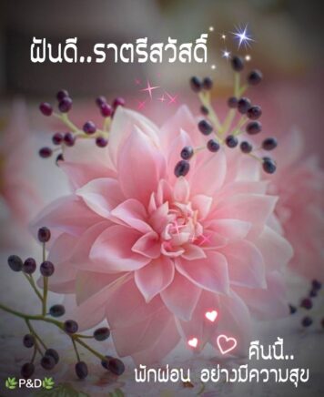 ราตรีสวัสดิ์วันอังคาร (18) ราตรีสวัสดิ์วันอังคาร รูปสวยๆ โหลดฟรี ส่งความคิดถึง บอกฝันดี ก่อนนอน