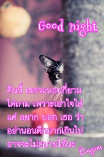 ราตรีสวัสดิ์วันอังคาร (19) ราตรีสวัสดิ์วันอังคาร รูปสวยๆ โหลดฟรี ส่งความคิดถึง บอกฝันดี ก่อนนอน