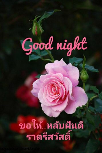 ราตรีสวัสดิ์วันอังคาร (21) ราตรีสวัสดิ์วันอังคาร รูปสวยๆ โหลดฟรี ส่งความคิดถึง บอกฝันดี ก่อนนอน
