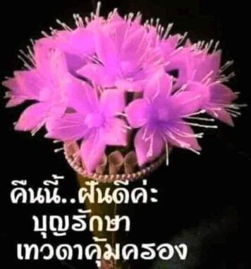 ราตรีสวัสดิ์วันอังคาร (24) ราตรีสวัสดิ์วันอังคาร รูปสวยๆ โหลดฟรี ส่งความคิดถึง บอกฝันดี ก่อนนอน