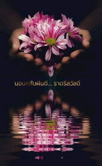 ราตรีสวัสดิ์วันอังคาร (25) ราตรีสวัสดิ์วันอังคาร รูปสวยๆ โหลดฟรี ส่งความคิดถึง บอกฝันดี ก่อนนอน