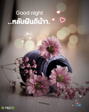 ราตรีสวัสดิ์วันอังคาร (29) ราตรีสวัสดิ์วันอังคาร รูปสวยๆ โหลดฟรี ส่งความคิดถึง บอกฝันดี ก่อนนอน