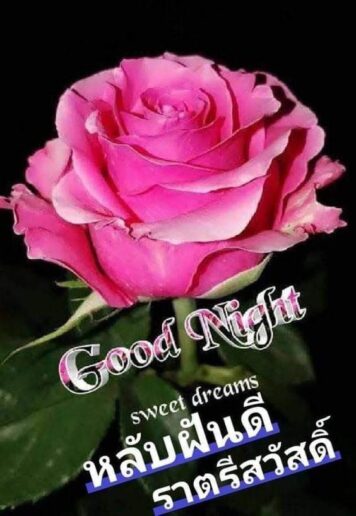 ราตรีสวัสดิ์วันอังคาร ราตรีสวัสดิ์วันอังคาร รูปสวยๆ โหลดฟรี ส่งความคิดถึง บอกฝันดี ก่อนนอน