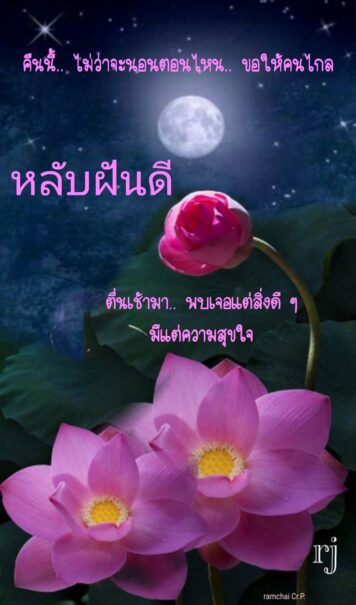 ราตรีสวัสดิ์วันอังคาร (8) ราตรีสวัสดิ์วันอังคาร รูปสวยๆ โหลดฟรี ส่งความคิดถึง บอกฝันดี ก่อนนอน