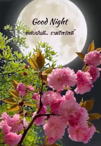 ราตรีสวัสดิ์วันอังคาร (9) ราตรีสวัสดิ์วันอังคาร รูปสวยๆ โหลดฟรี ส่งความคิดถึง บอกฝันดี ก่อนนอน