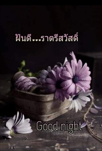 ราตรีสวัสดิ์วันเสาร์ (10) ราตรีสวัสดิ์วันเสาร์ รูปสวยๆ ส่งความคิดถึง ห่วงใย ฝันดี ก่อนนอน