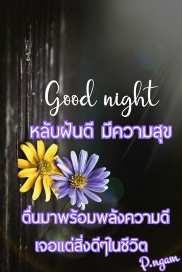 ราตรีสวัสดิ์วันเสาร์ (12) ราตรีสวัสดิ์วันเสาร์ รูปสวยๆ ส่งความคิดถึง ห่วงใย ฝันดี ก่อนนอน