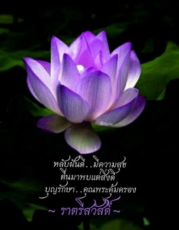 ราตรีสวัสดิ์วันเสาร์ (13) ราตรีสวัสดิ์วันเสาร์ รูปสวยๆ ส่งความคิดถึง ห่วงใย ฝันดี ก่อนนอน